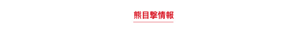 熊目撃情報