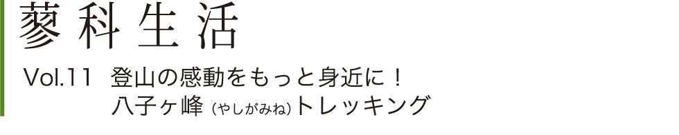 蓼科生活Vol.11 登山の感動をもっと身近に！八子ヶ峰（やしがみね）トレッキング