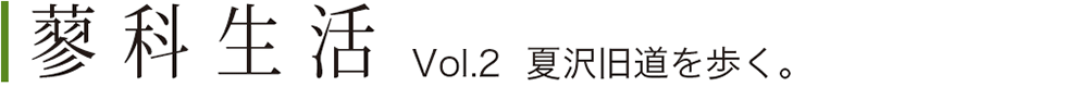 蓼科生活Vol.2 夏沢旧道を歩く。