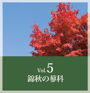 Vol.5へ